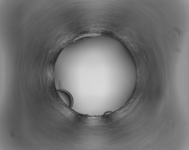 X0000113160240200909181817