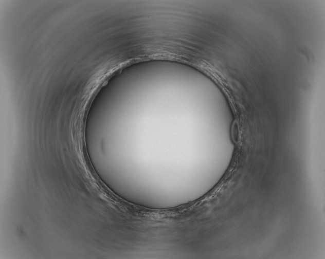 X0000113160241200909181817