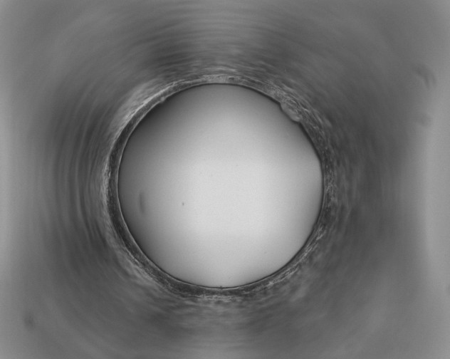 X0000113160242200909181817