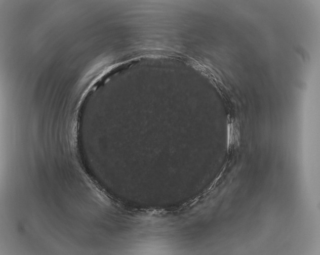 X0000113160243200909181817