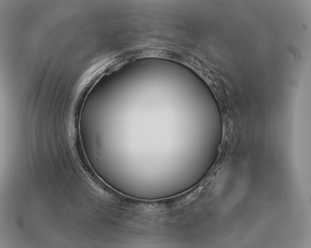 X0000113160245200909181817