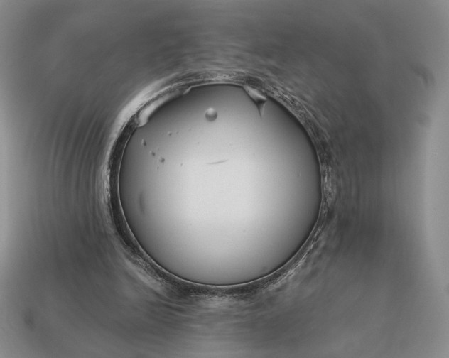 X0000113160246200909181817