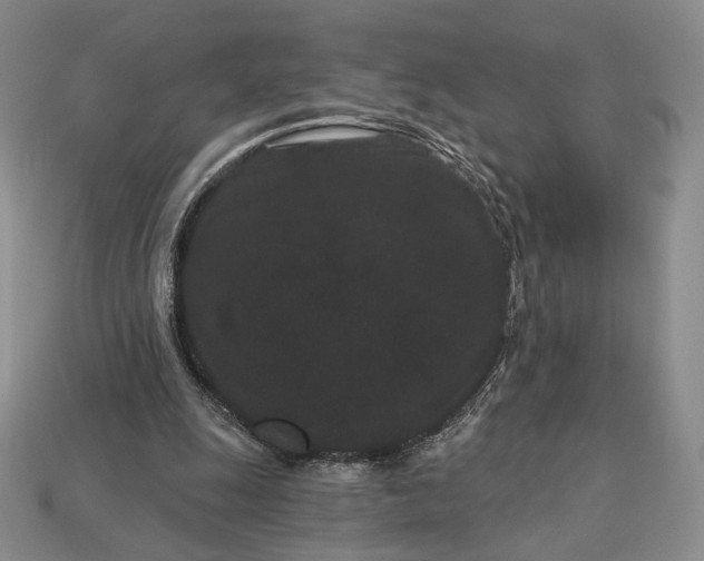 X0000113160247200909181817