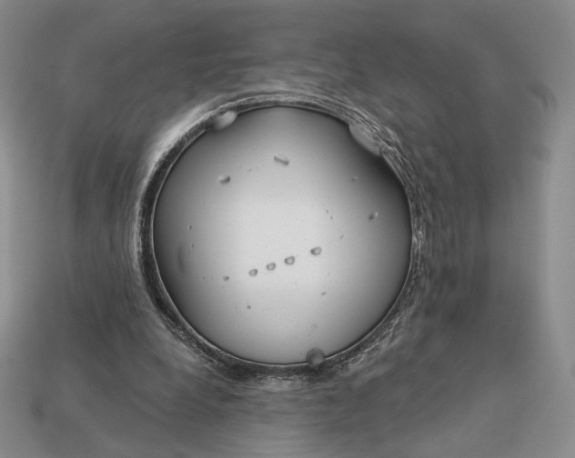 X0000113160248200909181817