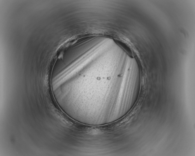 X0000113160249200909181817