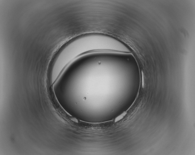 X0000113160252200909181817