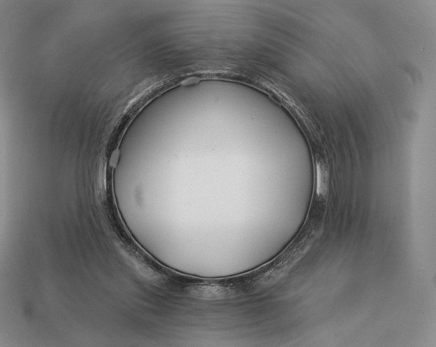 X0000113160253200909181817