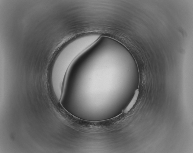 X0000113160256200909181817