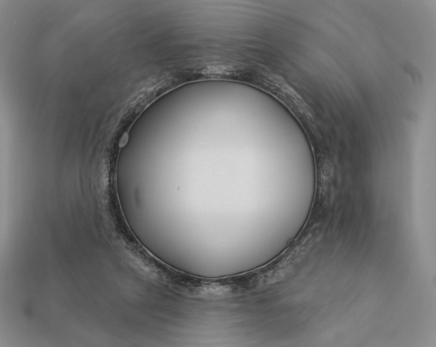 X0000113160257200909181817