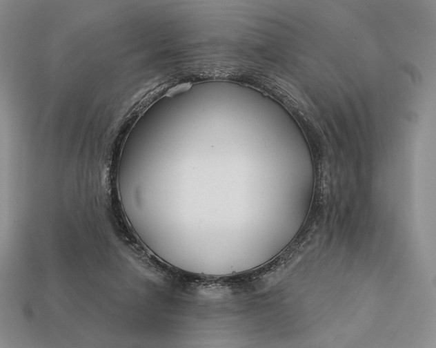 X0000113160258200909181817