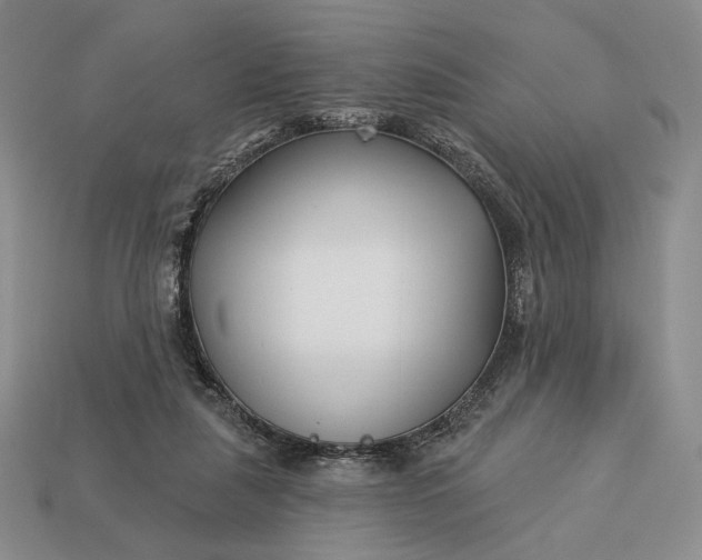 X0000113160259200909181817