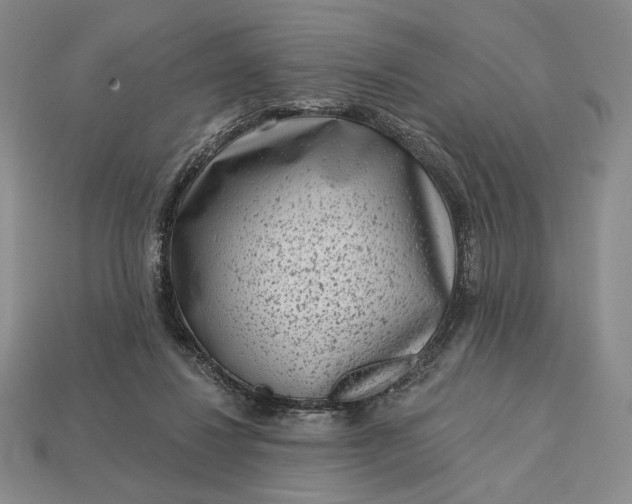 X0000113160260200909181817