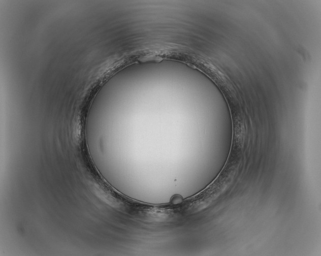 X0000113160261200909181817