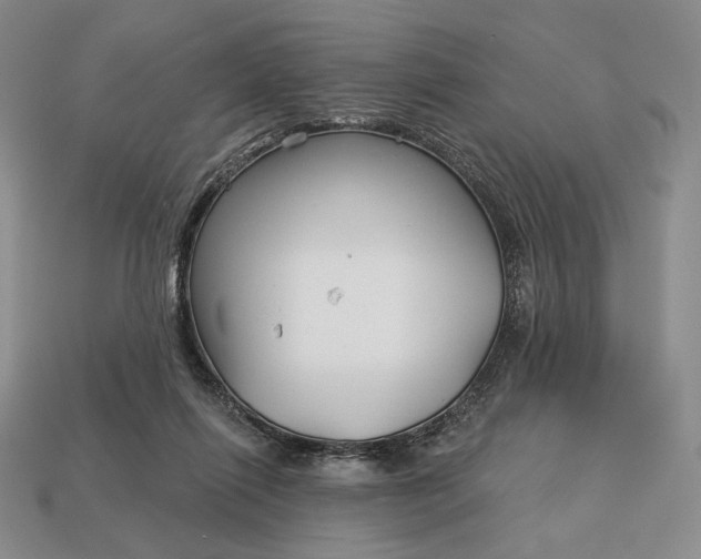 X0000113160262200909181817