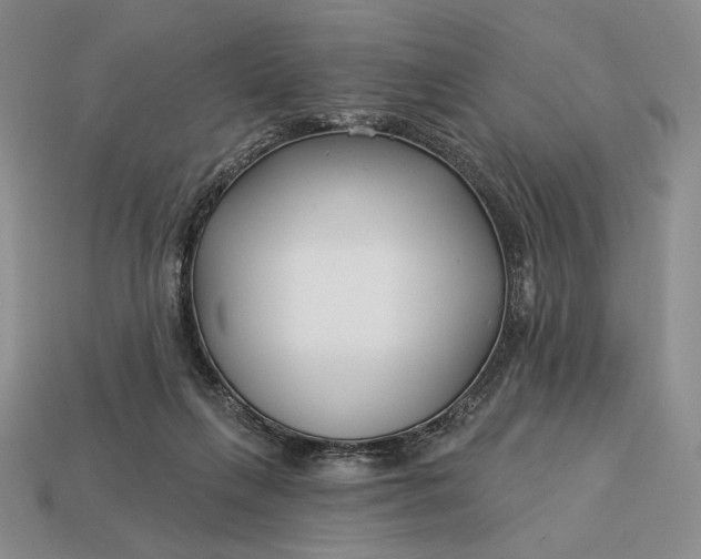 X0000113160263200909181817