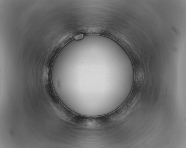 X0000113160264200909181817