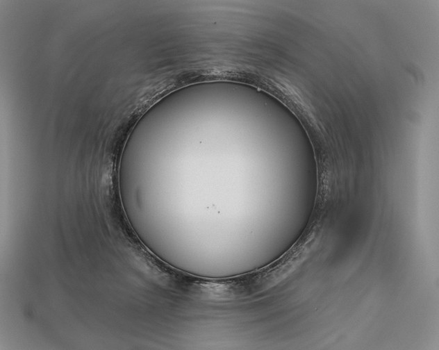 X0000113160265200909181817