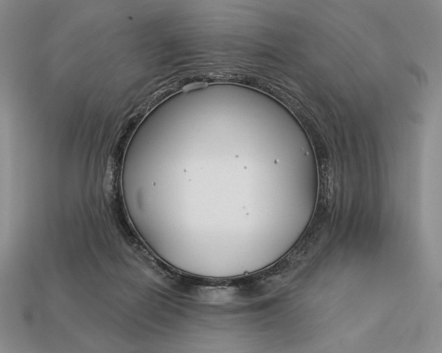 X0000113160266200909181817