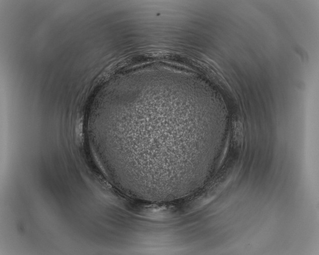 X0000113160267200909181817