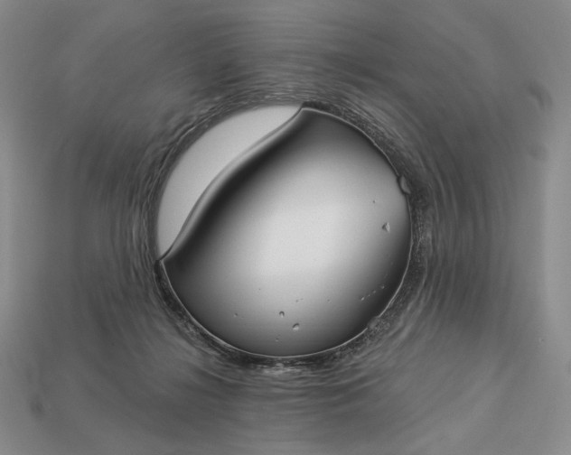 X0000113160268200909181817