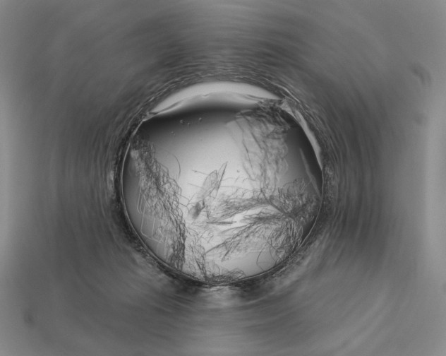 X0000113160269200909181817