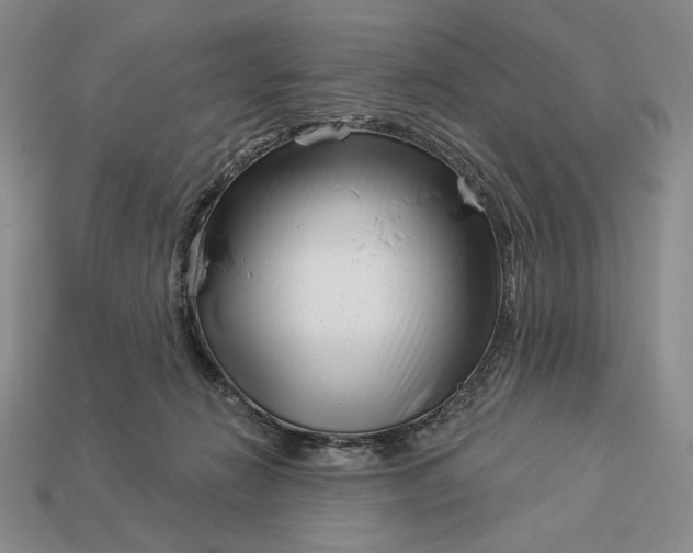 X0000113160270200909181817