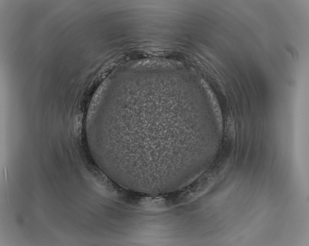 X0000113160271200909181817