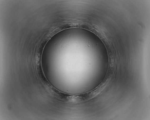 X0000113160273200909181817