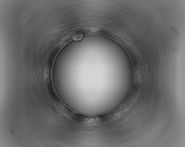 X0000113160274200909181817