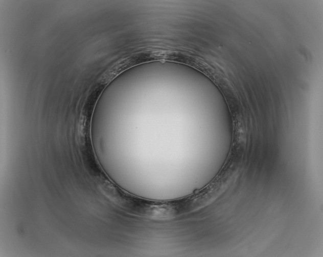 X0000113160275200909181817