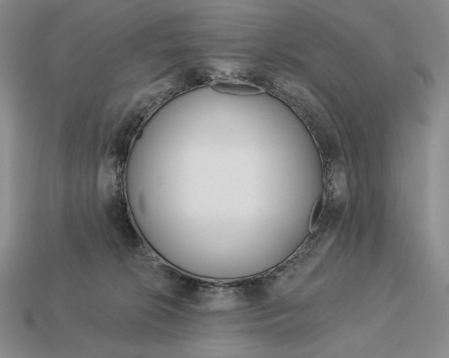 X0000113160276200909181817