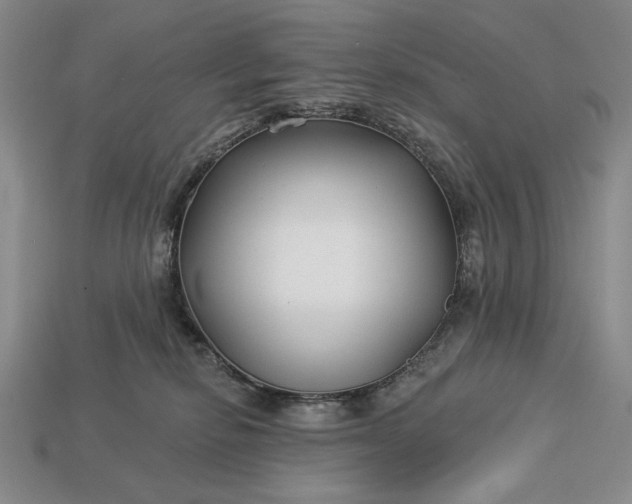 X0000113160278200909181817