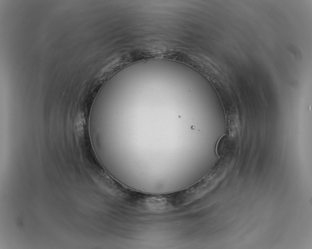 X0000113160279200909181817