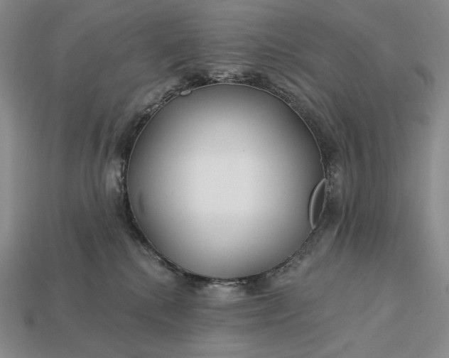 X0000113160280200909181817