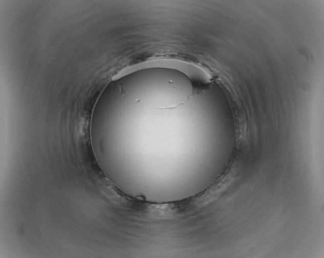 X0000113160281200909181817