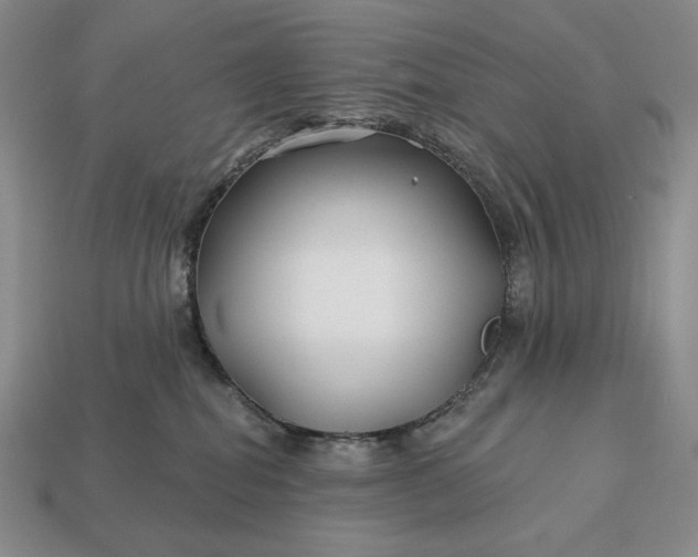 X0000113160282200909181817