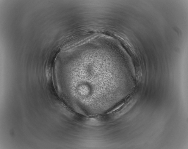 X0000113160285200909181817