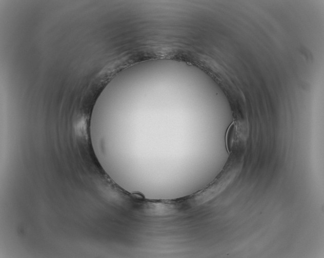 X0000113160286200909181817