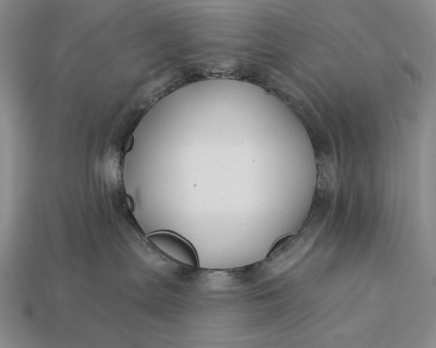 X0000113160287200909181817