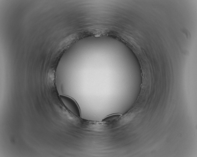 X0000113160288200909181817