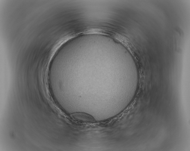 X0000113160289200909181817