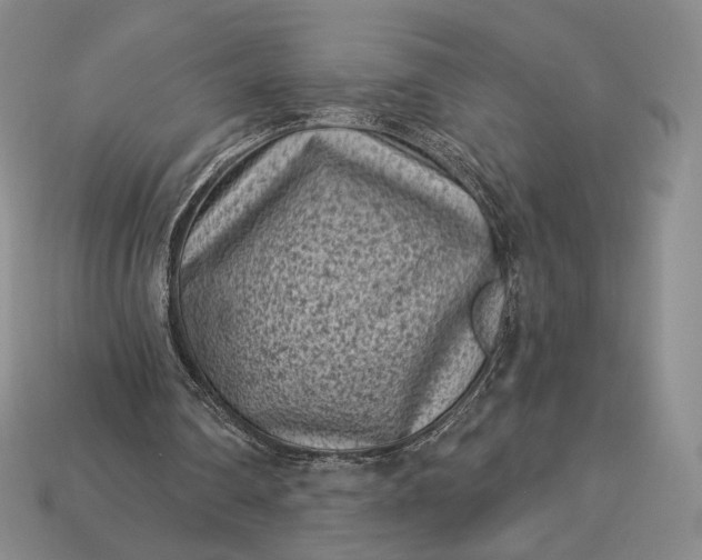 X0000113160290200909181817