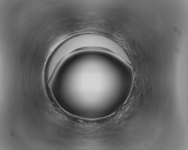 X0000113160292200909181817