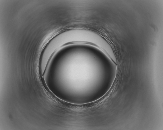 X0000113160293200909181817