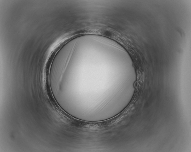 X0000113160294200909181817