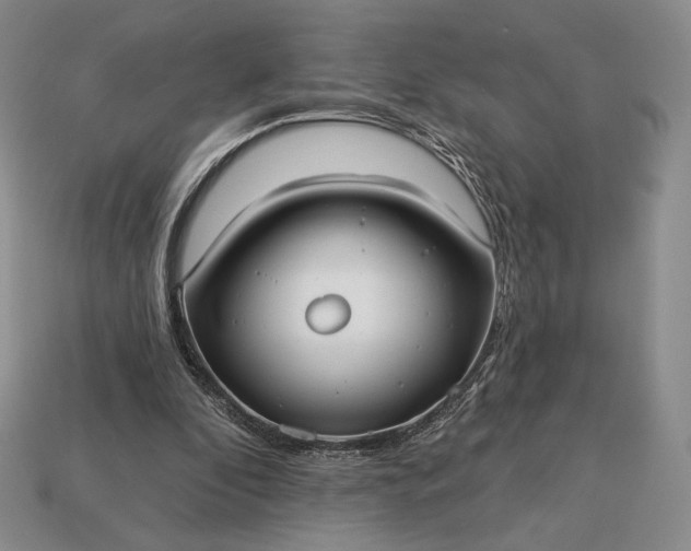 X0000113160296200909181817