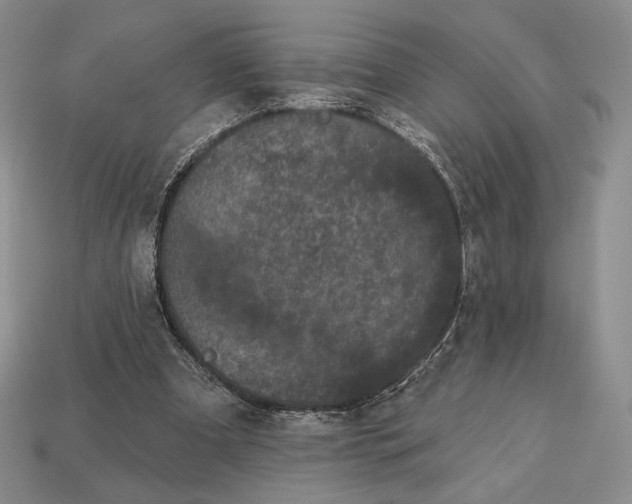 X0000113160297200909181817