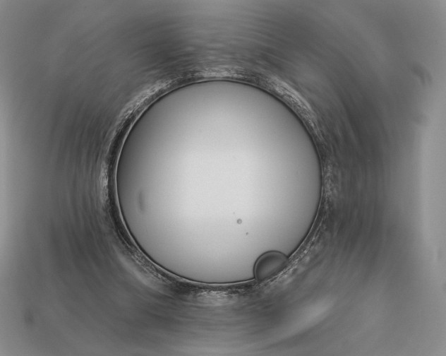 X0000113160298200909181817