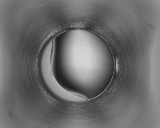 X0000113160300200909181817