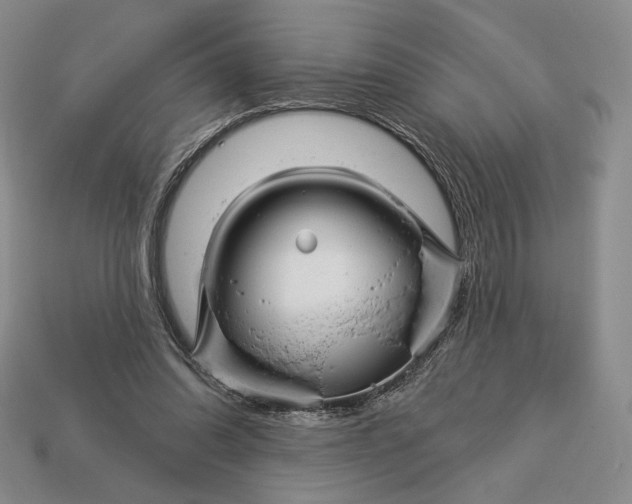 X0000113160302200909181817